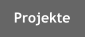 Projekte